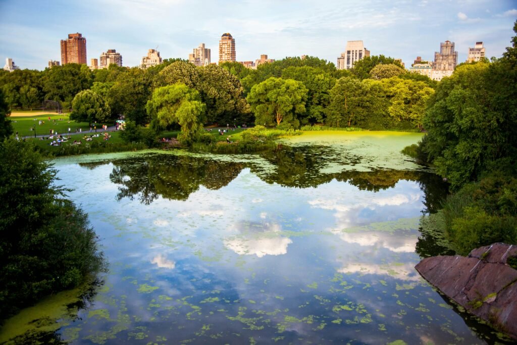 Central Park NYC