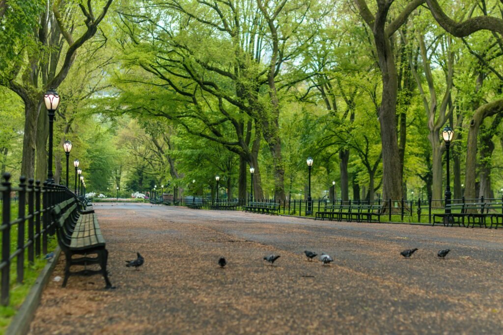 Central Park